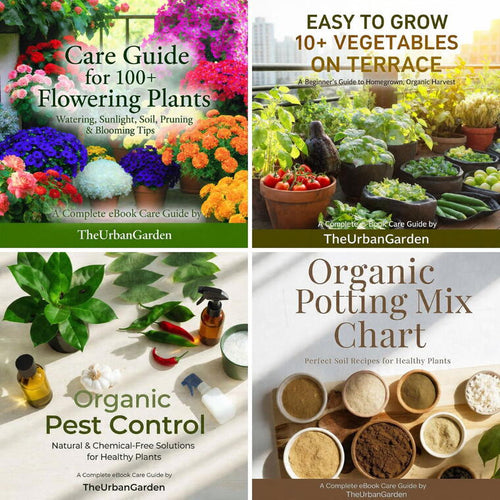 9 eBooks Collection ( All in one Bundle)