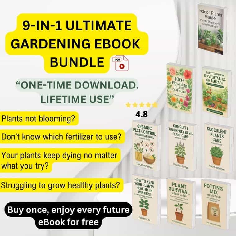 9 eBooks Collection ( All in one Bundle)